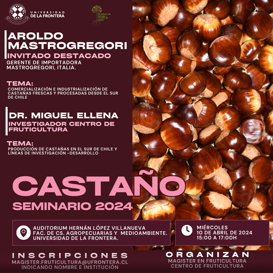 Seminario Castaño